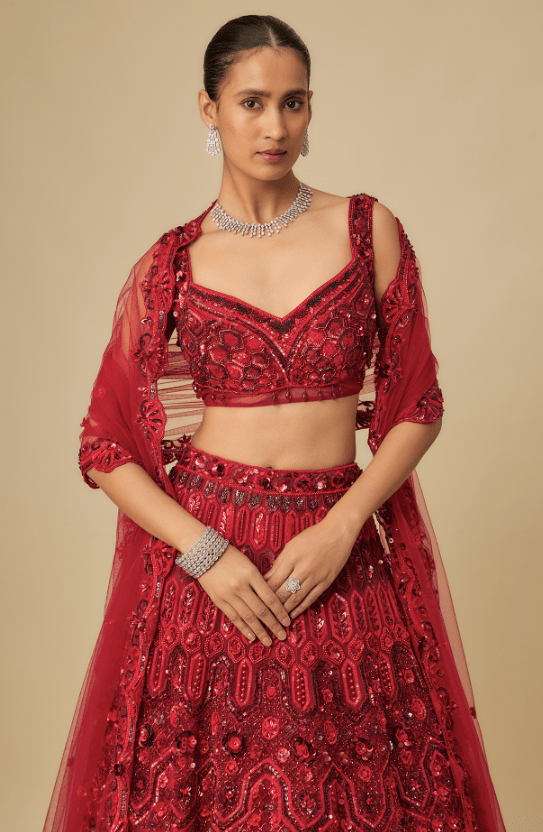 Deep Red Net Hand Embroidered Lehenga Set - Image 4