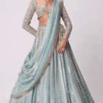 Powder Blue Organza Linear Embroidered Lehenga Set