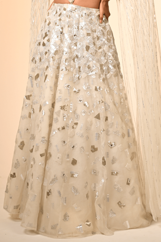 Ivory Net & Organza Hand Embroidered Lehenga Set - Image 3