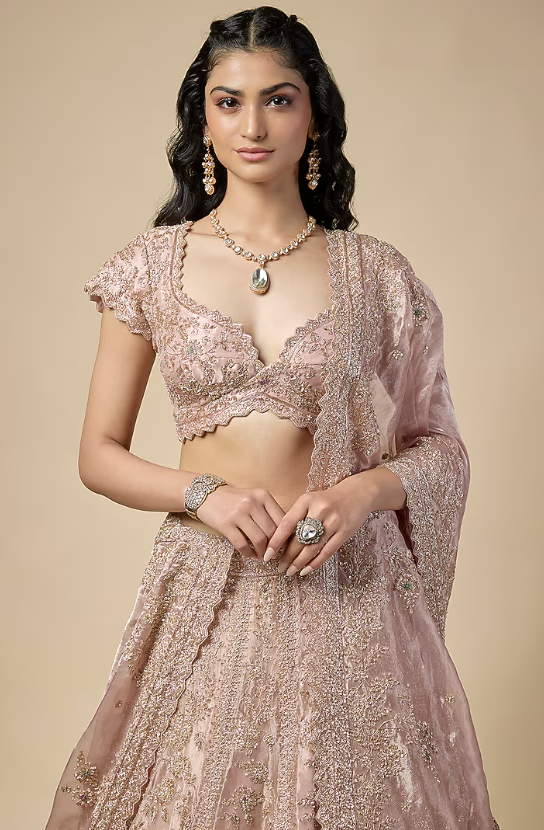 Rose Pink Tissue Zardosi Embroidered Lehenga Set - Image 4