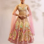 Purple Wings Lehenga Set