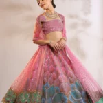 Sitara Lehenga Set
