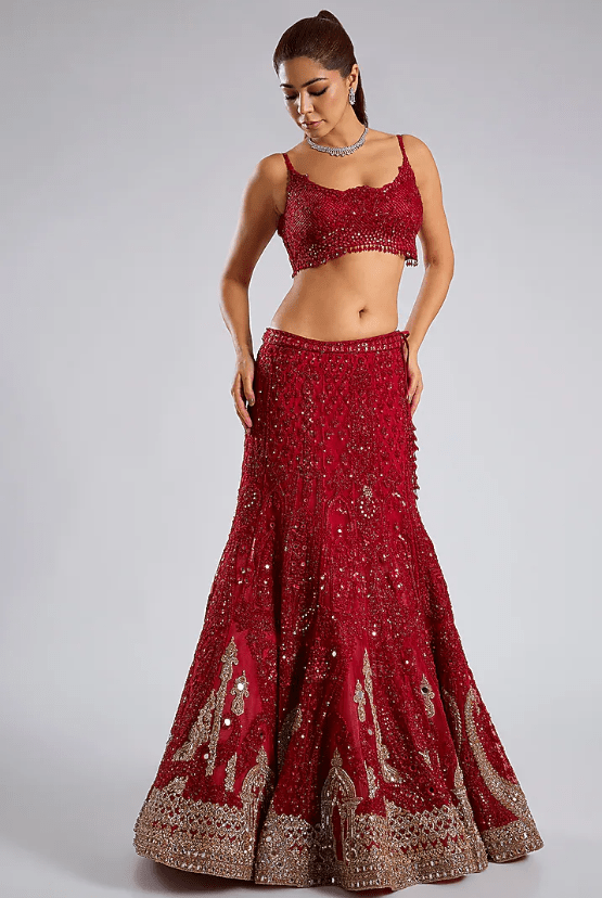 Blood Red Net Hand Embroidered Lehenga Set - Image 2
