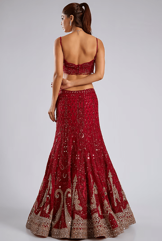 Blood Red Net Hand Embroidered Lehenga Set - Image 3