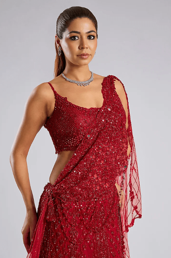 Blood Red Net Hand Embroidered Lehenga Set - Image 4