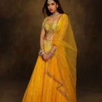 Bindi keri Lehenga Set