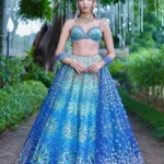 Anvaya Lehenga Set