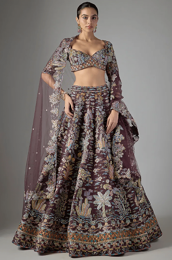 Teakberry Raw Silk & Tulle Applique Embellished Lehenga Set