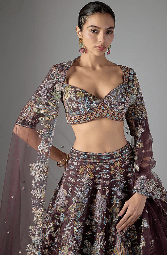 Teakberry Raw Silk & Tulle Applique Embellished Lehenga Set - Image 4