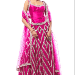 Rani Pink Organza Mirror Embroidered Lehenga Set
