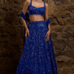 Royal Blue Net Hand Embroidered Lehenga Set