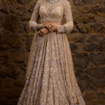 Champagne Gold Net Hand Embroidered Lehenga Set