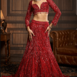 Vermillion Red Tulle Embroidered Mermaid Lehenga Set