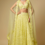 Butter Yellow Tulle Embroidered Lehenga Set