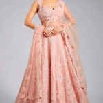 Coralie Rose Organza Lehenga Set
