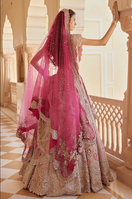 Tea Rose Raw silk Organza Dori Embroidered Handcrafted Lehenga Set - Image 2