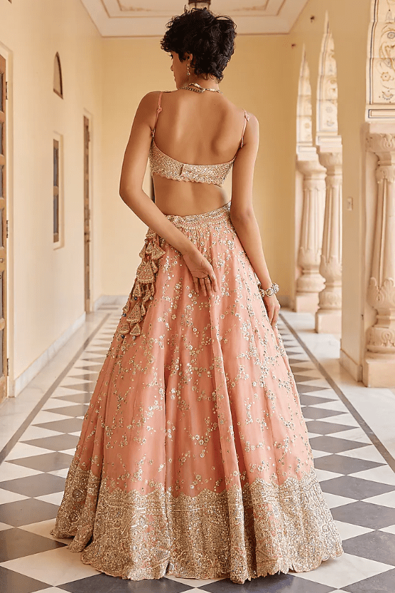 Salmon Peach Organza Dori Embroidered Handcrafted Lehenga Set - Image 2