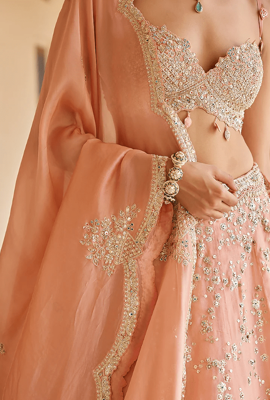 Salmon Peach Organza Dori Embroidered Handcrafted Lehenga Set - Image 5