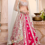 Ruby Red Mulberry Silk Zardosi Hand Embroidered Lehenga Set