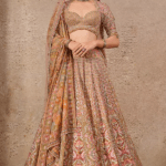 Multi-Colored Sheer silk Aari Embroidered Lehenga Set