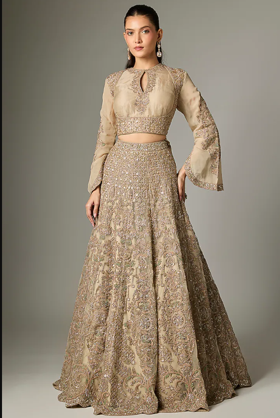 Beige Organza Dori Work Lehenga Set