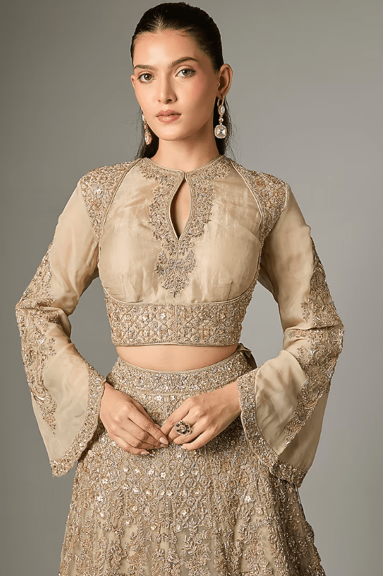 Beige Organza Dori Work Lehenga Set - Image 4