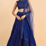 Royal Blue Soft Net Hand Embroidered Lehenga Set
