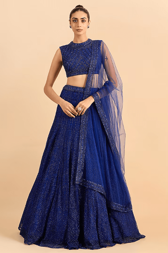 Royal Blue Soft Net Hand Embroidered Lehenga Set