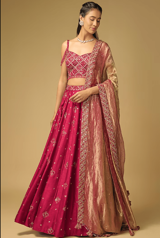 Ruby Red Dupion Silk Hand Embroidered Lehenga set
