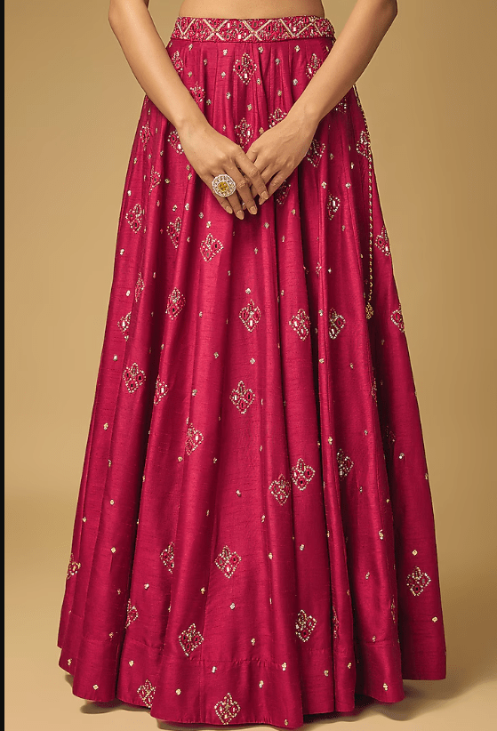 Ruby Red Dupion Silk Hand Embroidered Lehenga set - Image 3