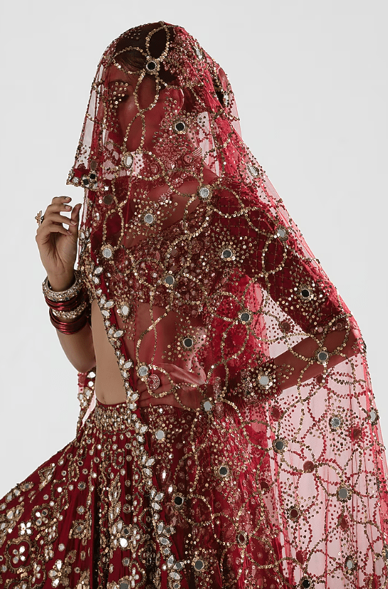 Red Silk Zari & Thread Embroidered Lehenga Set - Image 5