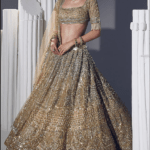 Gold Net & Silk Embroidered Lehenga Set
