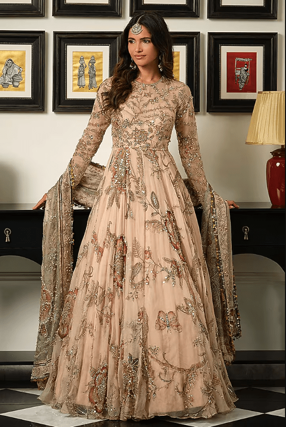 Malai Beige Silk Organza Embroidered Anarkali Set