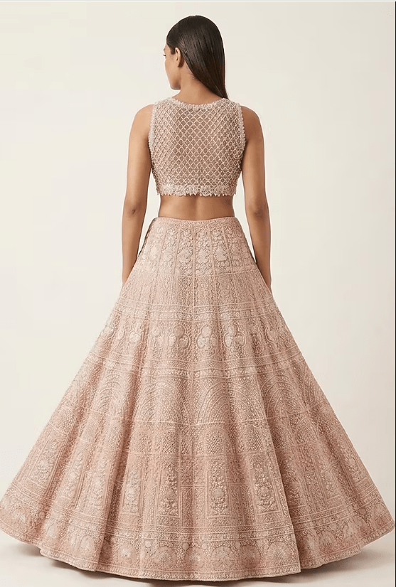 Champagne Lucknowi & Georgette Hand Embroidered Lehenga Set - Image 2