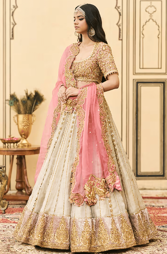 Silver Tissue Lehenga Set - Image 4