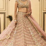 Pink Tissue Embroidered Lehenga Set