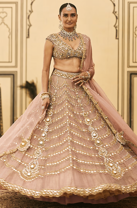 Pink Tissue Embroidered Lehenga Set