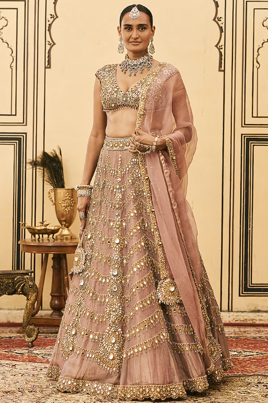 Pink Tissue Embroidered Lehenga Set - Image 4