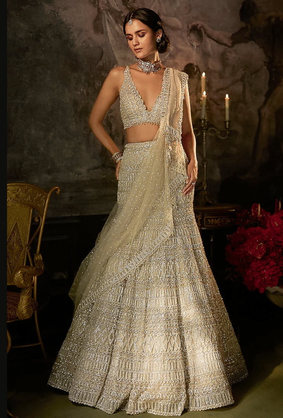 Champagne Net Sequins Embroidered Lehenga Set