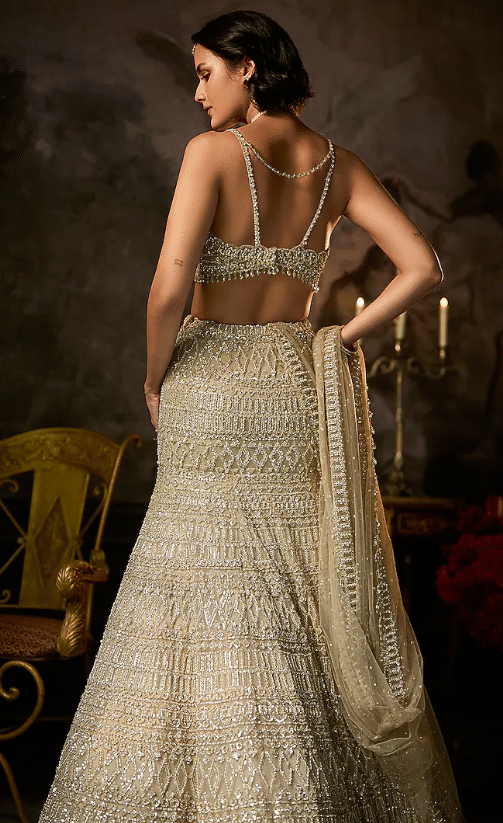 Champagne Net Sequins Embroidered Lehenga Set - Image 2
