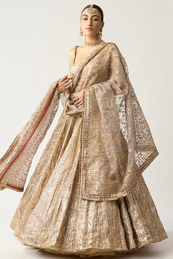 Silver Lampi Lehenga Set