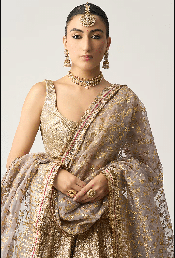 Silver Lampi Lehenga Set - Image 3