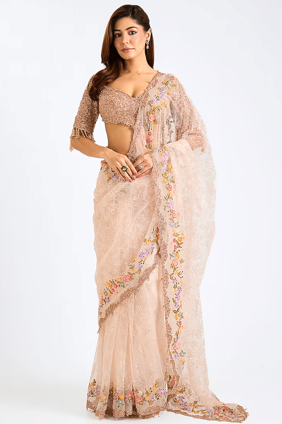 Nude Net Saree Set