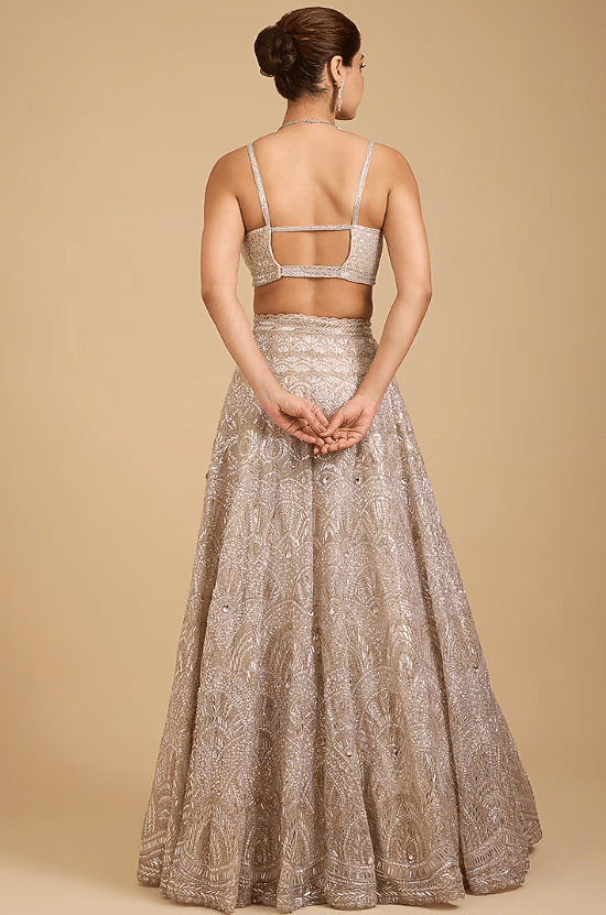 Champagne Tissue Embroidered Lehenga Set - Image 4